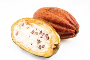 cacao rionegro santander