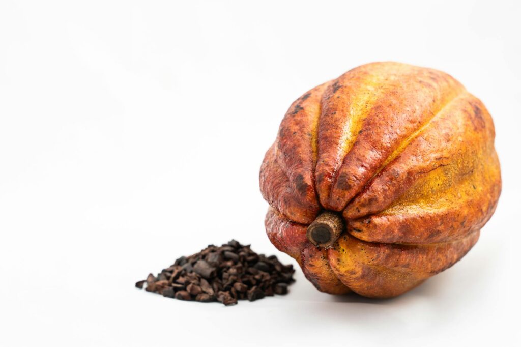 cacao colombiano de montaña
