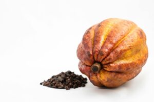 cacao colombiano de montaña