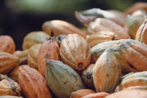 chocolate colombiano para consumo consciente